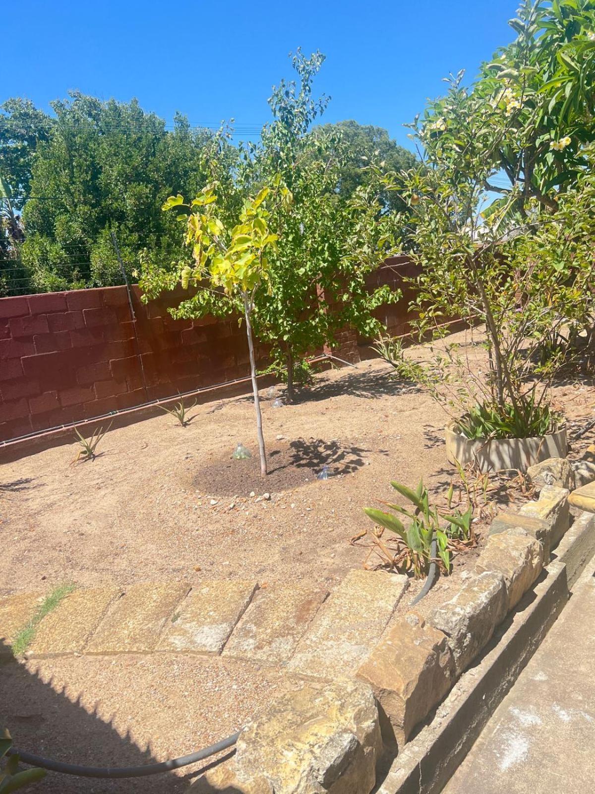 Triple S Guest House Cape Town Exterior foto