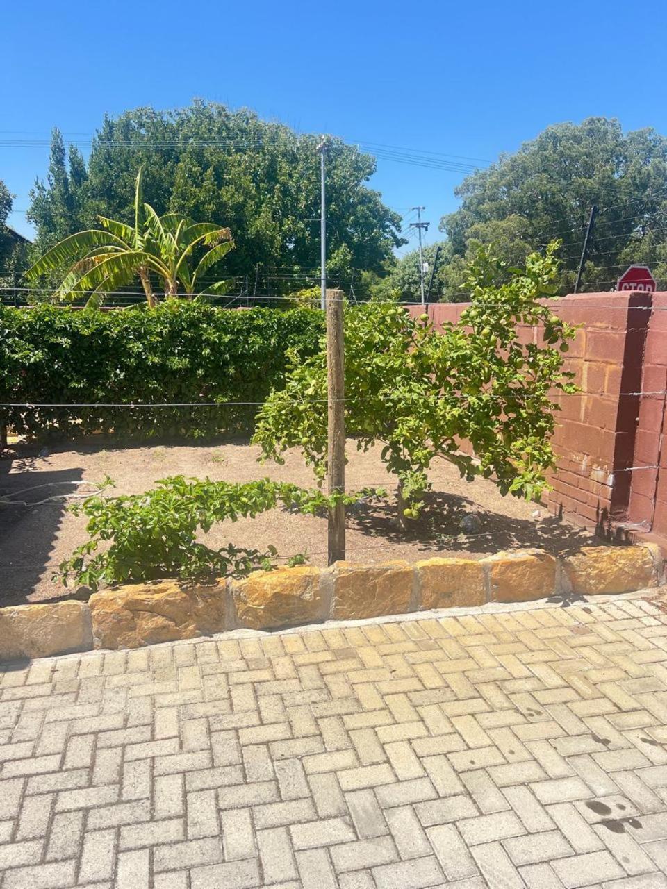 Triple S Guest House Cape Town Exterior foto